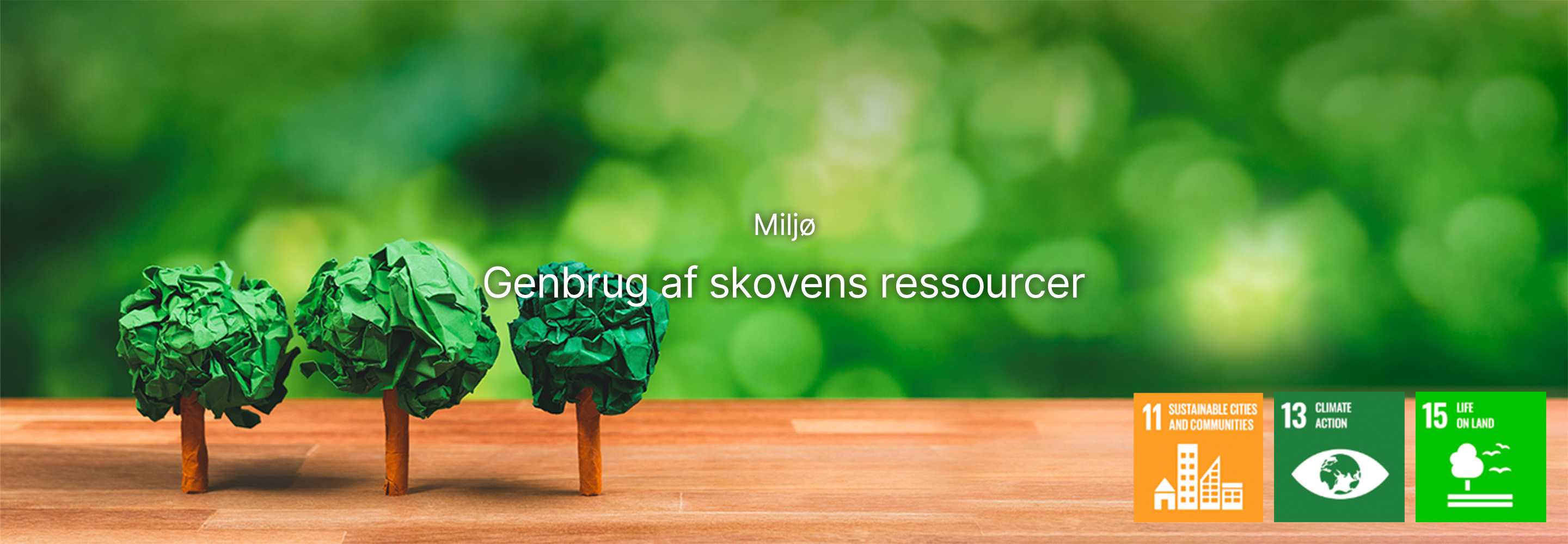 Miljø Genbrug af skovressourcer