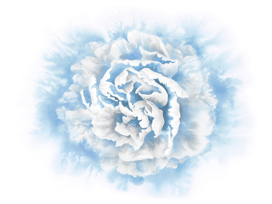 Flower Illustration