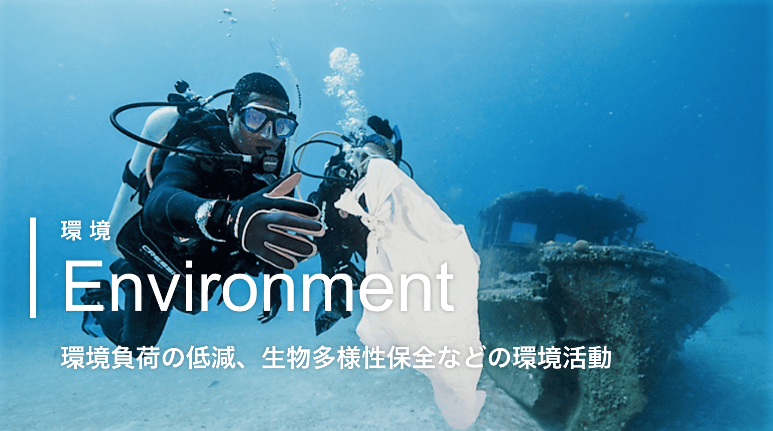 Environment