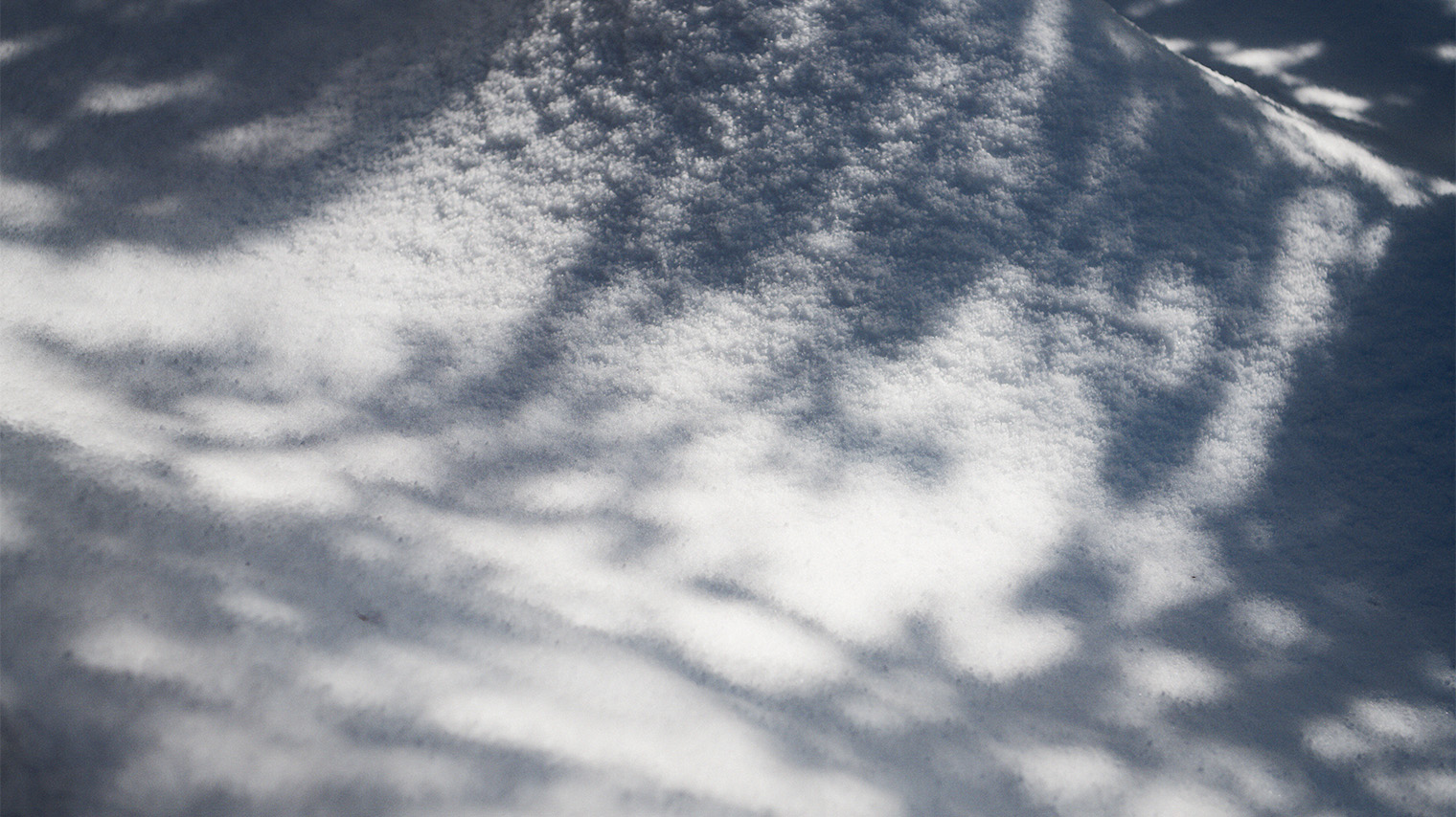 Foto Nieve en el Museo del Siglo XXI de Kanazawa