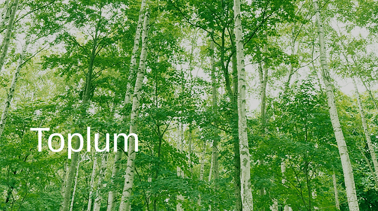 Toplum